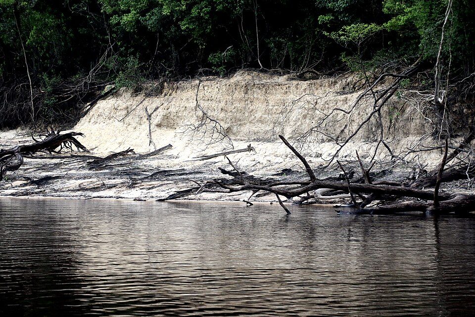Amazônia — Anavilhanas